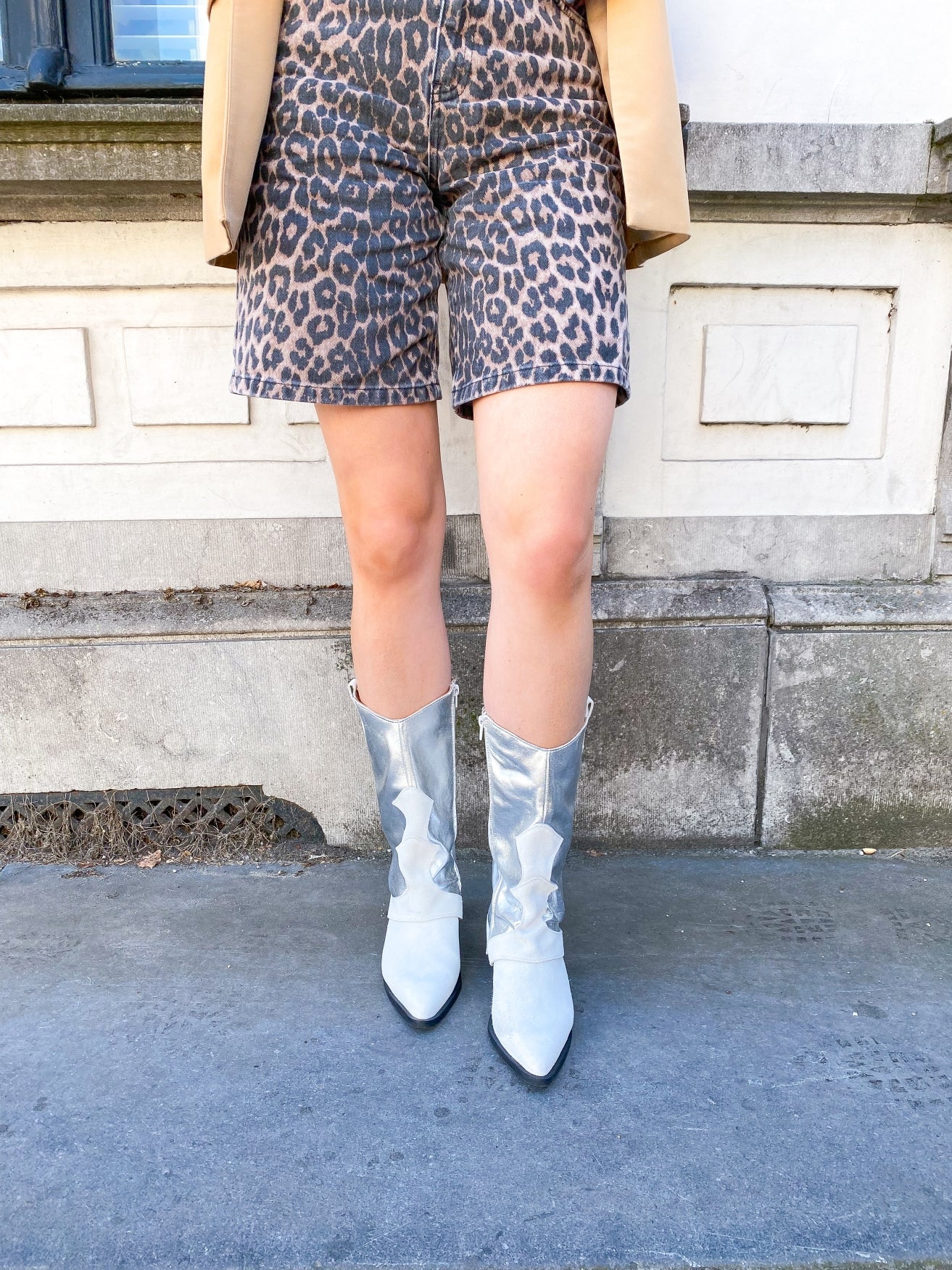 SHETLAND metallic - Westernboots | Silver / Ice