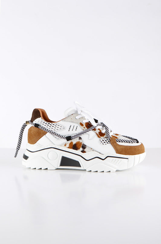 JUPITER cow hair on - Sneakers | White / Brown
