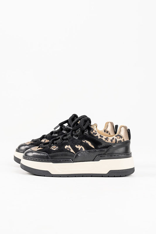 WALTON leopard - Sneakers | Black / Beige