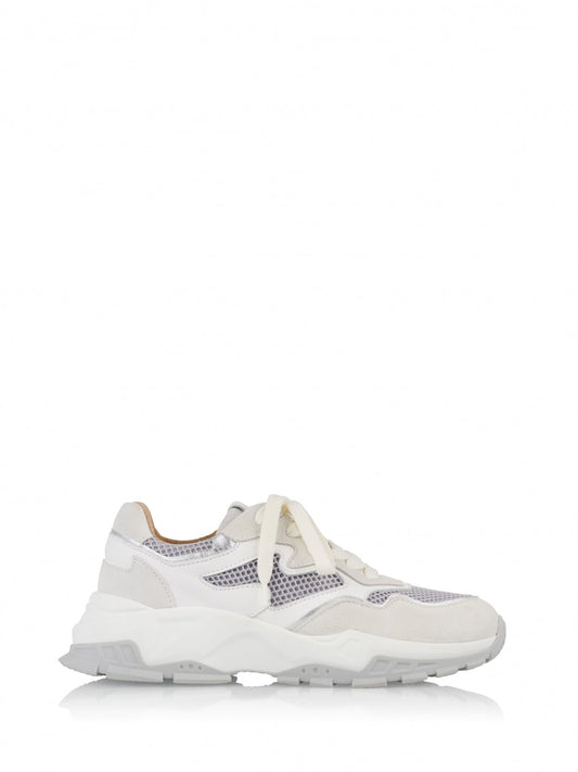 CHESTER suede - Sneakers | White / Lt. Grey