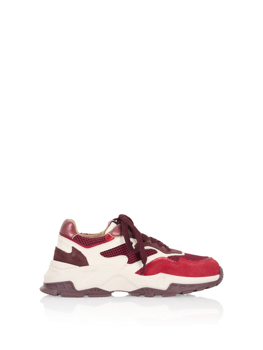 CHESTER suede - Sneakers | Off white / Bordeaux