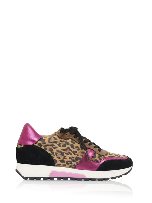 DUMFRIES leopard - Sneakers | Fuchsia / Black