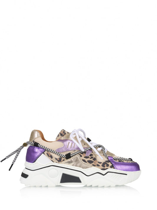 JUPITER leopard - Sneakers | Sand / Purple