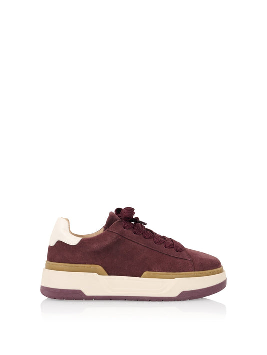 LOT suede - Sneakers | Bordeaux / Off White
