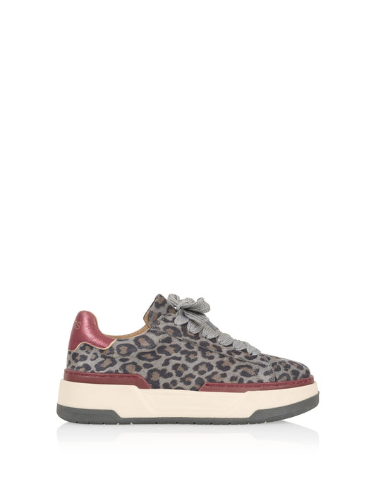 LOT leopard - Sneakers | Grey / Bordeaux
