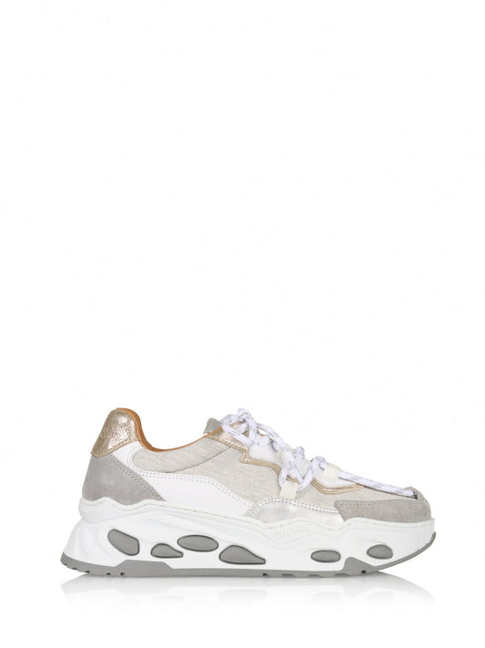 NEPTUNE Denim - Sneaker | Champagner/Grau