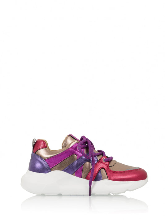 NEW JERSEY | Cipra / Purple