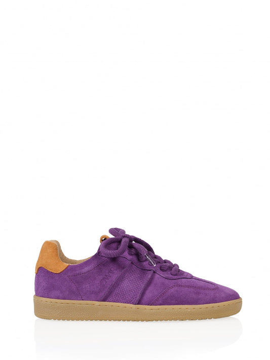 POONA suede - Sneakers | Purple / Orange
