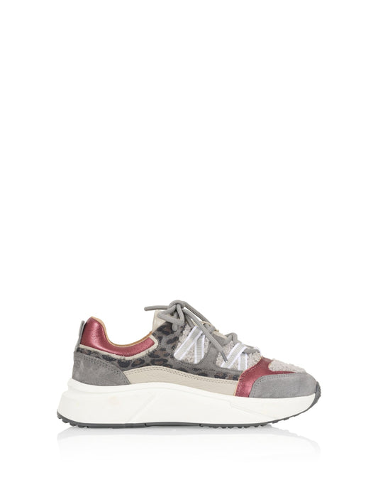 SENJA teddy leopard - Sneakers | Grey / Bordeaux