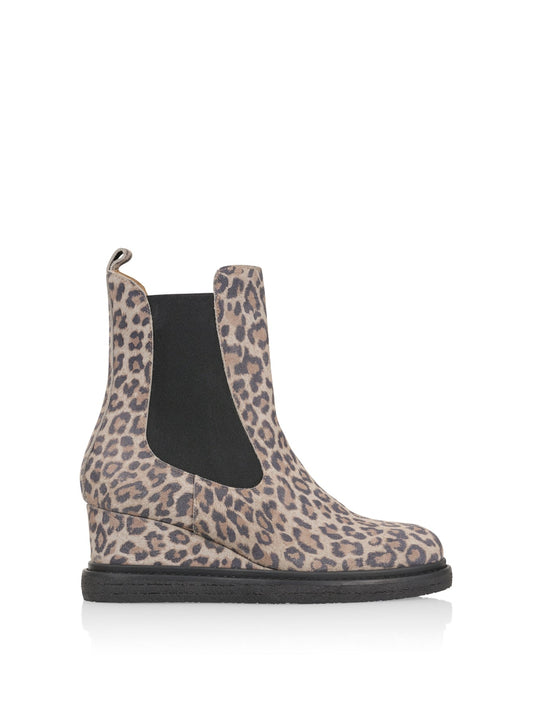 TOULON leopard - Enkellaarsjes | Grey