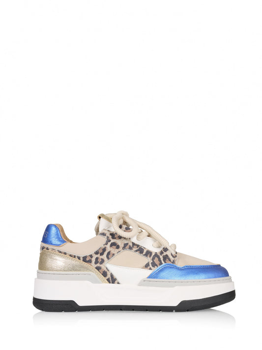 WINTON leopard - Sneakers | Sand / Kobalt